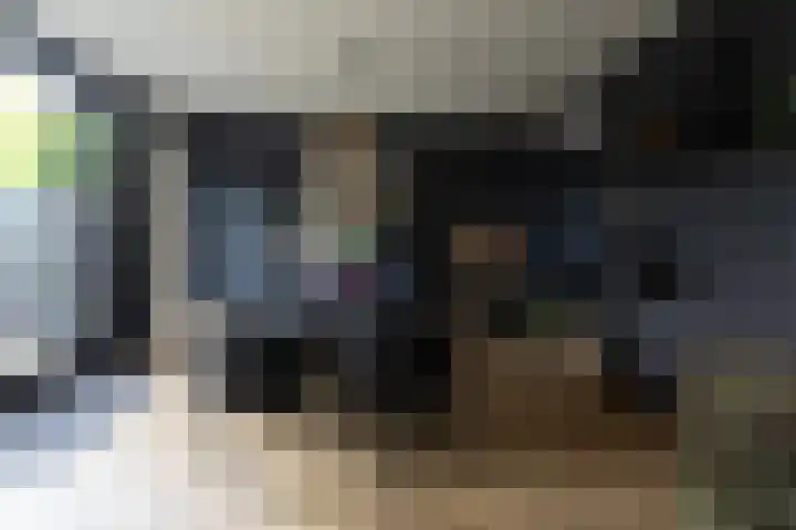Paltrokmolen 9 Alkmaar thumbnail 5