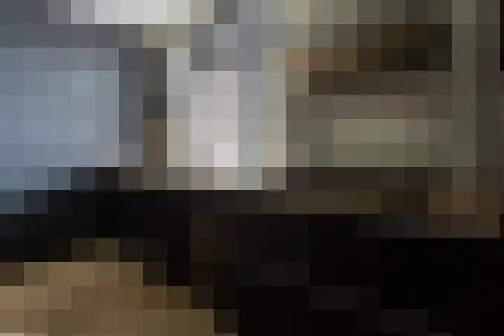Paltrokmolen 9 Alkmaar thumbnail 7