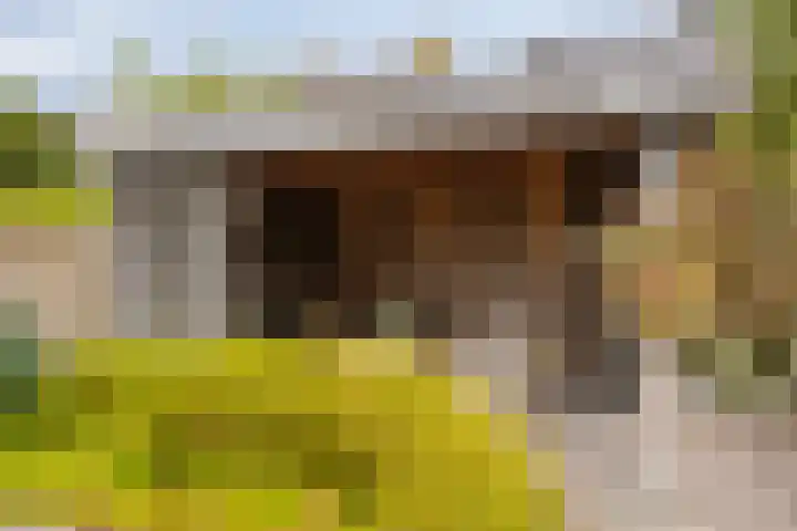 Paltrokmolen 9 Harmelen thumbnail 31
