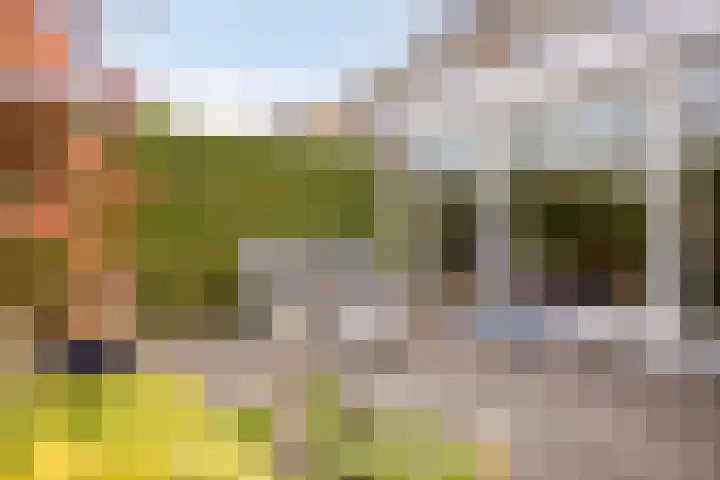 Paltrokmolen 9 Harmelen thumbnail 32