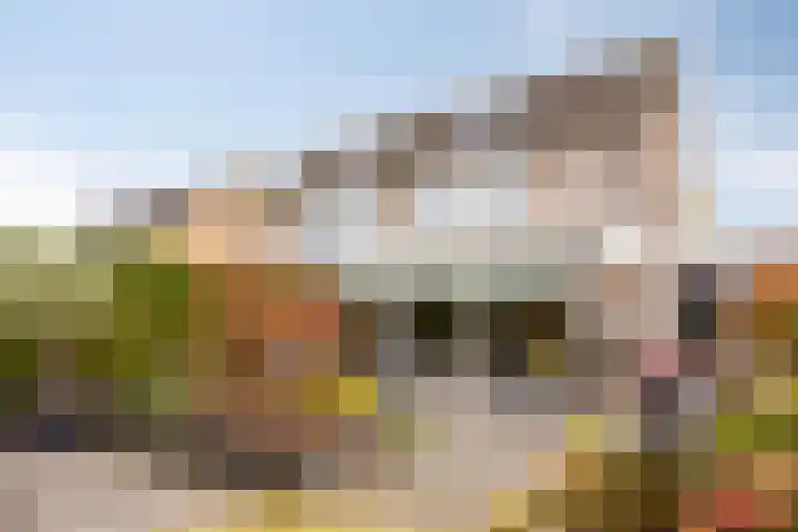 Paltrokmolen 9 Harmelen thumbnail 33