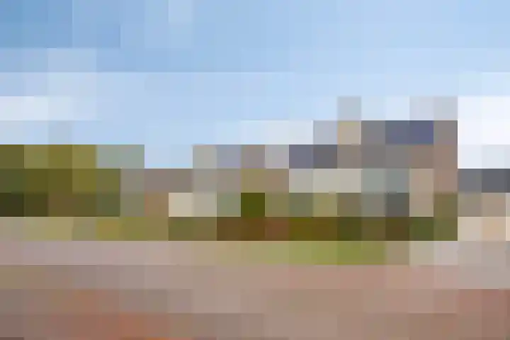Paltrokmolen 9 Harmelen thumbnail 35