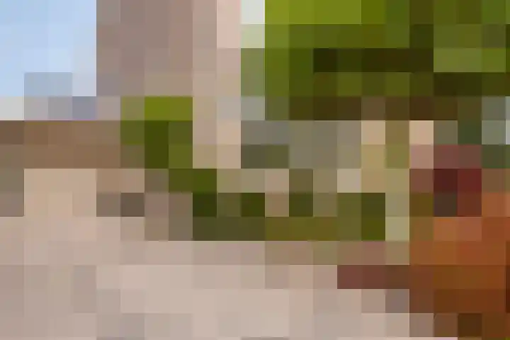 Paltrokmolen 9 Harmelen thumbnail 37