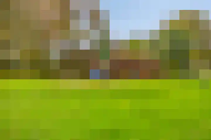 Paltrokmolen 9 Harmelen thumbnail 38