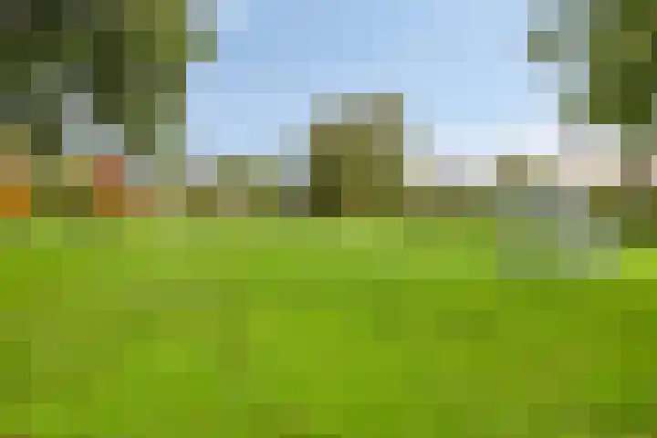 Paltrokmolen 9 Harmelen thumbnail 39
