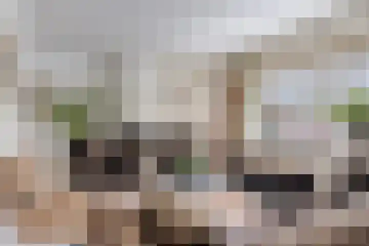 Paltrokmolen 9 Harmelen thumbnail 5