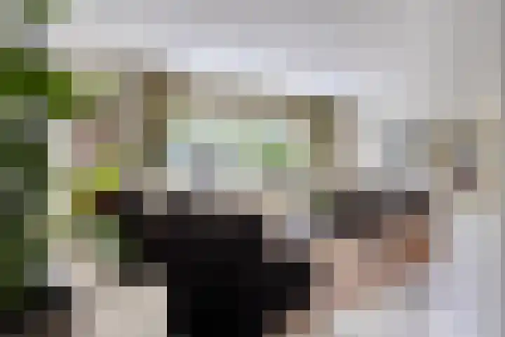 Paltrokmolen 9 Harmelen thumbnail 6