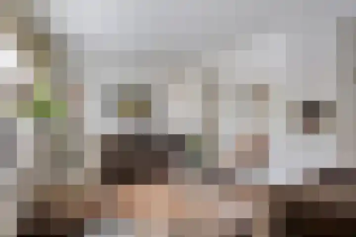 Paltrokmolen 9 Harmelen thumbnail 7