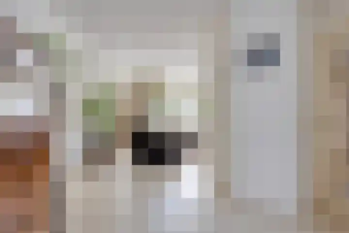 Paltrokmolen 9 Harmelen thumbnail 8