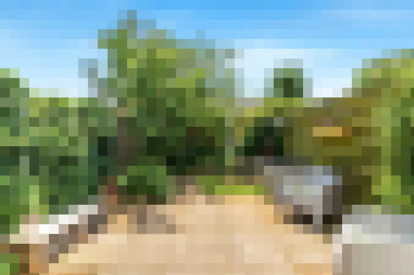 Paltrokstraat 1 Uitgeest thumbnail 4