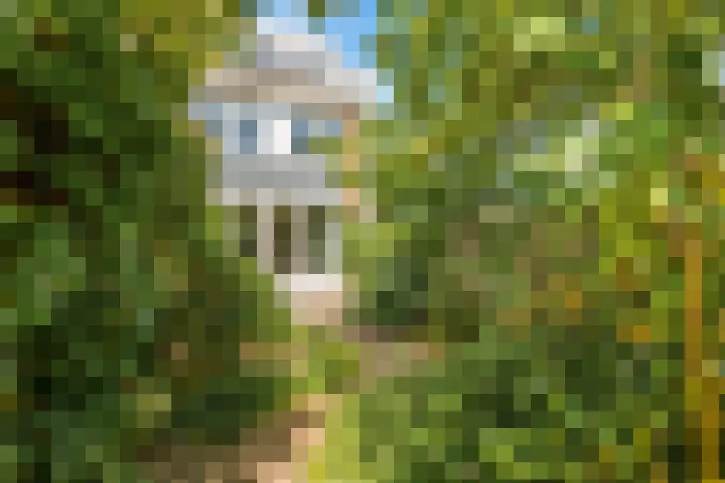 Paltrokstraat 1 Uitgeest thumbnail 56