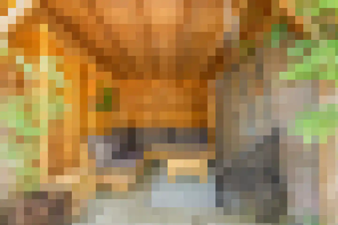 Paltrokstraat 1 Uitgeest thumbnail 58