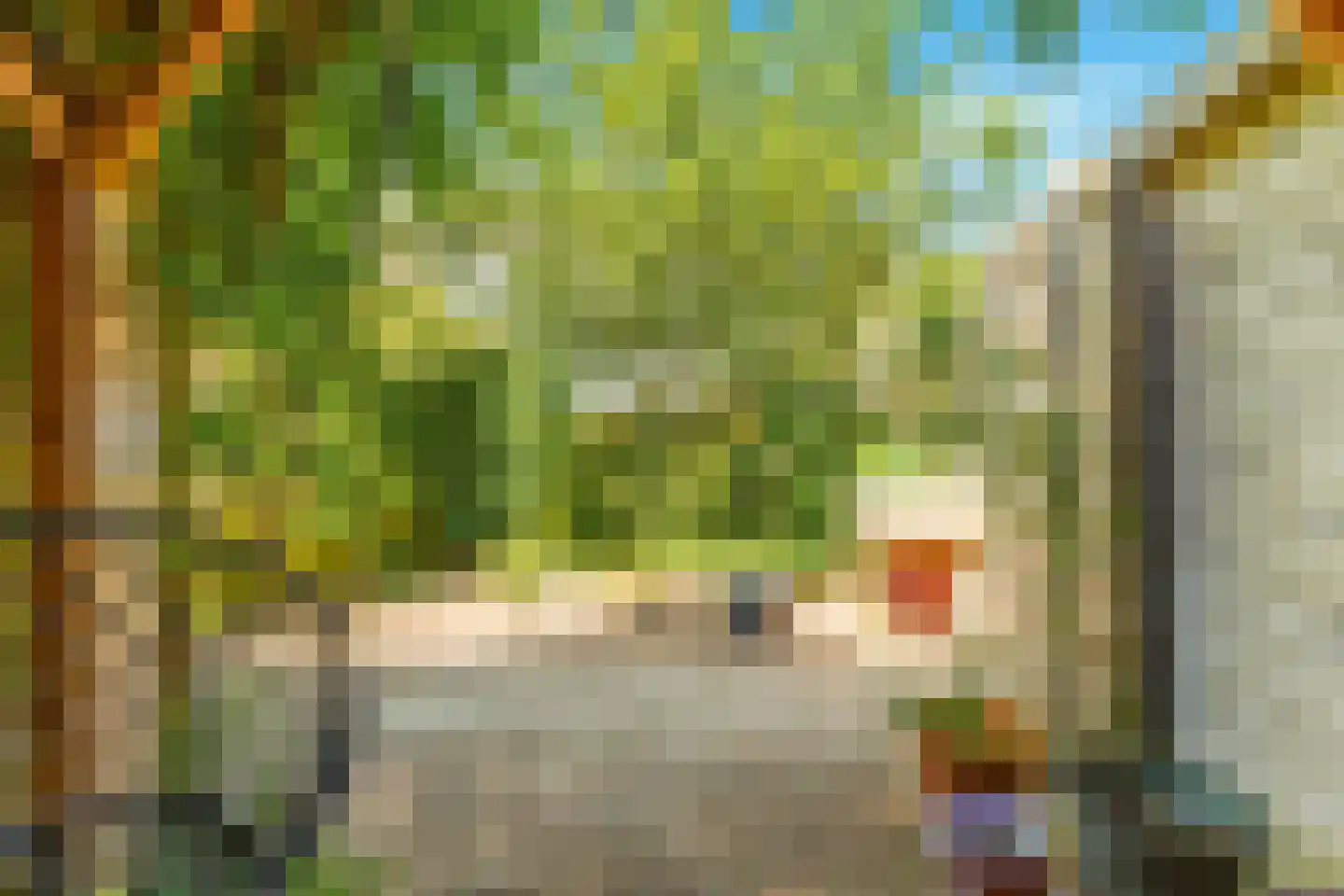 Paltrokstraat 1 Uitgeest thumbnail 59