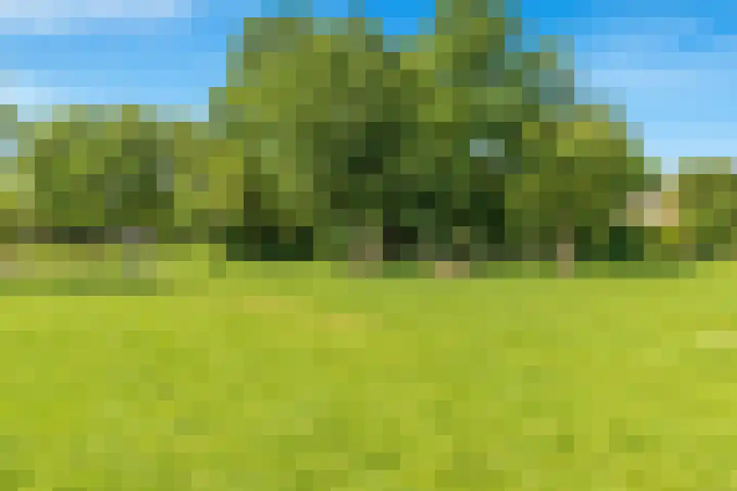 Paltrokstraat 1 Uitgeest thumbnail 64
