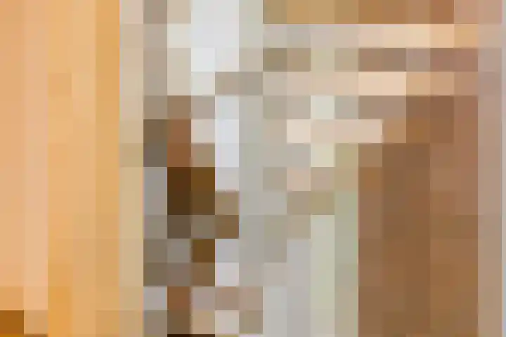 Paltrokstraat 11 Uitgeest thumbnail 18