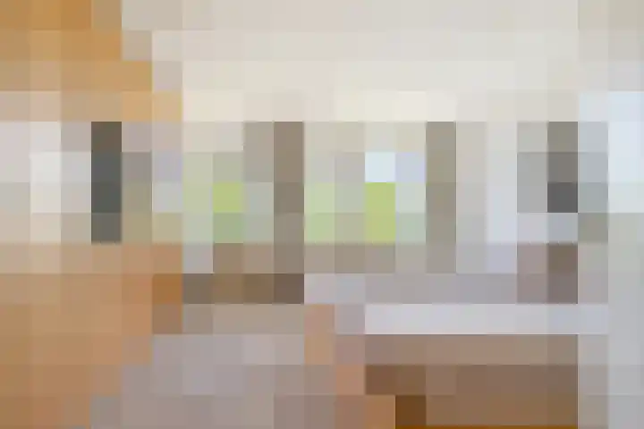 Paltrokstraat 11 Uitgeest thumbnail 20