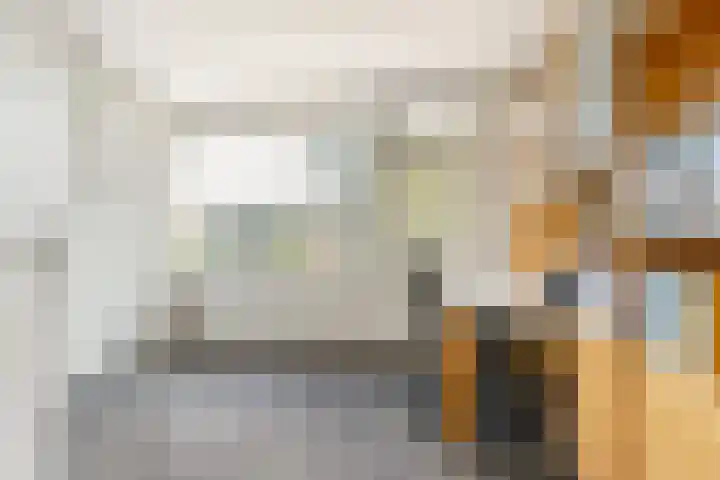 Paltrokstraat 11 Uitgeest thumbnail 22