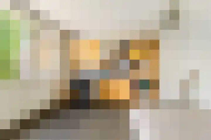 Paltrokstraat 11 Uitgeest thumbnail 23