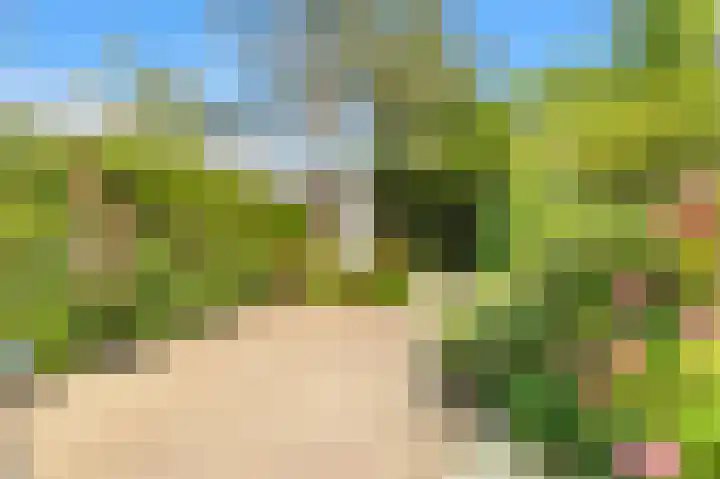 Paltrokstraat 11 Uitgeest thumbnail 35