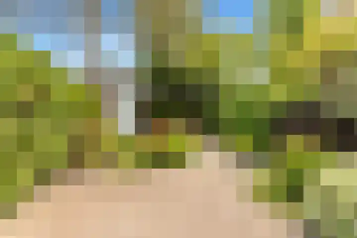 Paltrokstraat 11 Uitgeest thumbnail 36