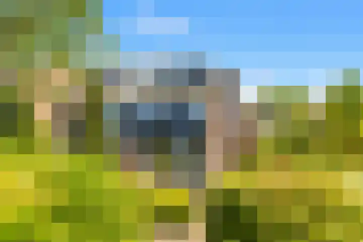 Paltrokstraat 11 Uitgeest thumbnail 38