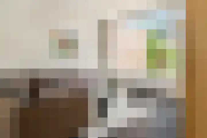 Paltrokstraat 11 Uitgeest thumbnail 4