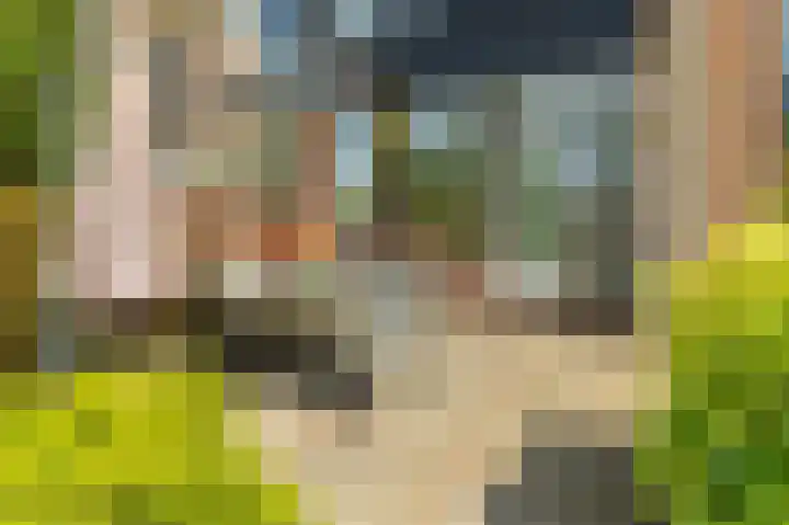 Paltrokstraat 11 Uitgeest thumbnail 40