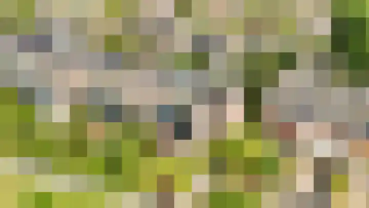 Paltrokstraat 11 Uitgeest thumbnail 41