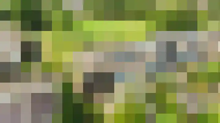 Paltrokstraat 11 Uitgeest thumbnail 42