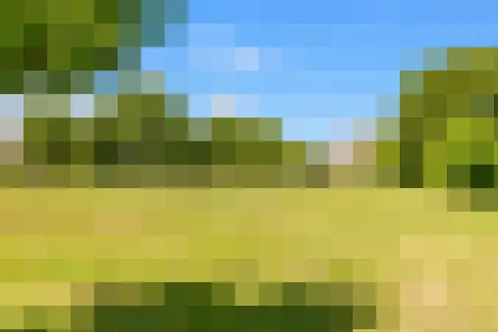 Paltrokstraat 11 Uitgeest thumbnail 43