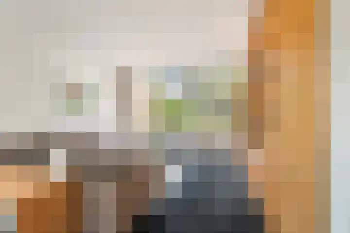 Paltrokstraat 11 Uitgeest thumbnail 5