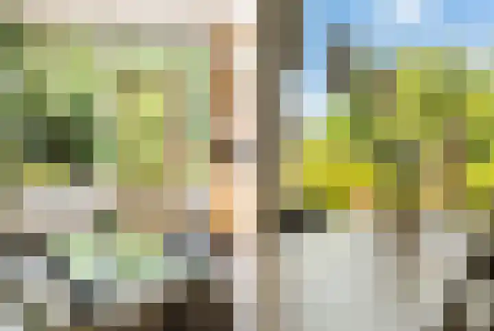 Paltrokstraat 11 Uitgeest thumbnail 6