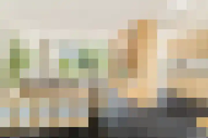 Paltrokstraat 11 Uitgeest thumbnail 7