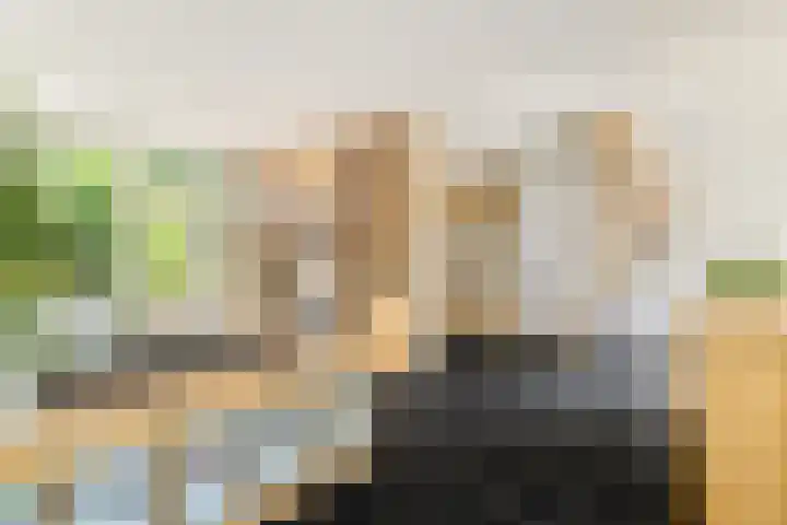 Paltrokstraat 11 Uitgeest thumbnail 8