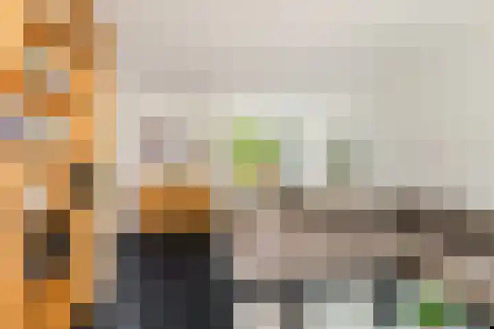 Paltrokstraat 11 Uitgeest thumbnail 9