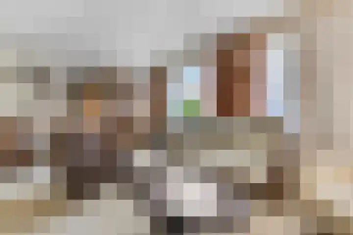 Paltrokstraat 12 Kootwijkerbroek thumbnail 13
