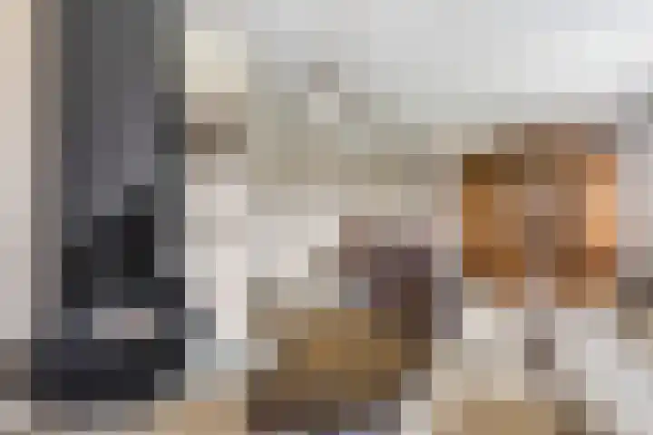 Paltrokstraat 12 Kootwijkerbroek thumbnail 14