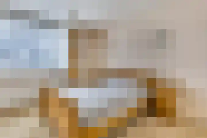 Paltrokstraat 12 Kootwijkerbroek thumbnail 25