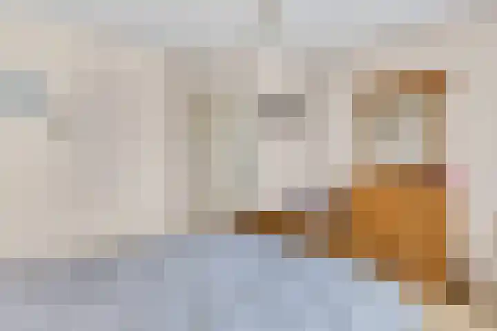 Paltrokstraat 12 Kootwijkerbroek thumbnail 27