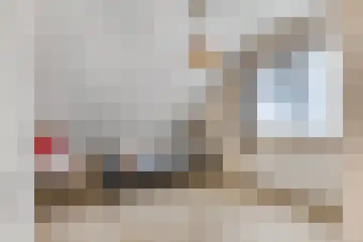 Paltrokstraat 12 Kootwijkerbroek thumbnail 31