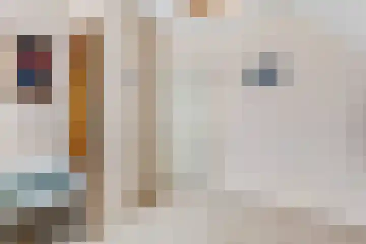 Paltrokstraat 12 Kootwijkerbroek thumbnail 32