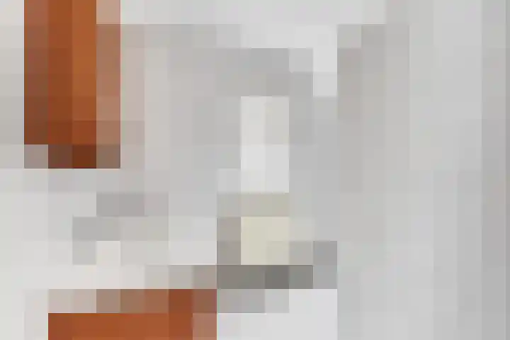 Paltrokstraat 12 Kootwijkerbroek thumbnail 33