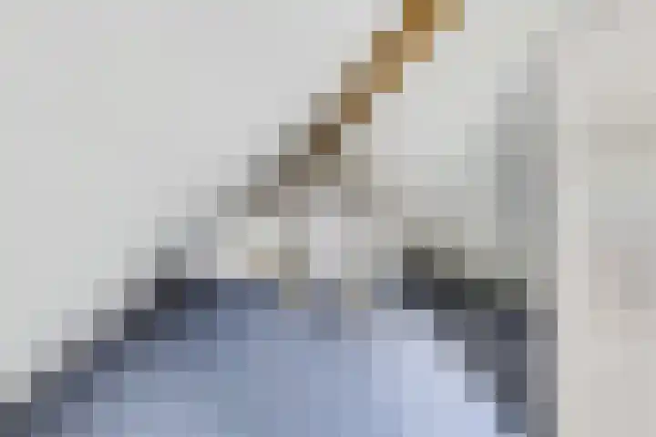 Paltrokstraat 12 Kootwijkerbroek thumbnail 37