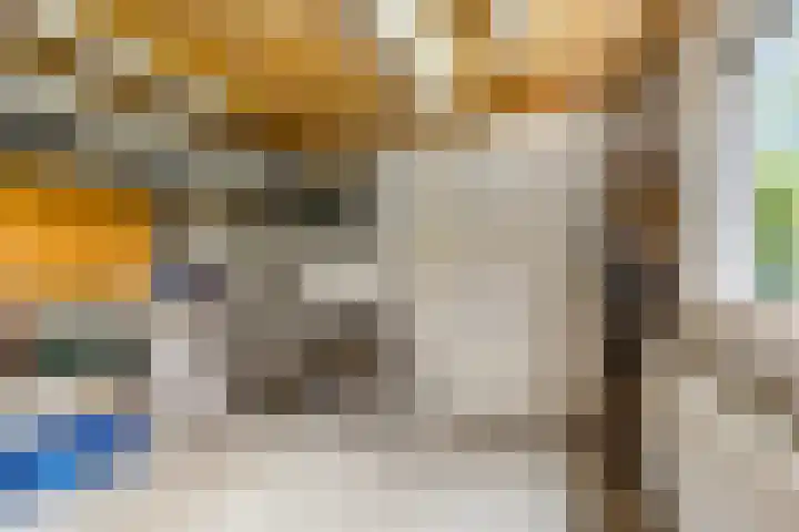 Paltrokstraat 12 Kootwijkerbroek thumbnail 38
