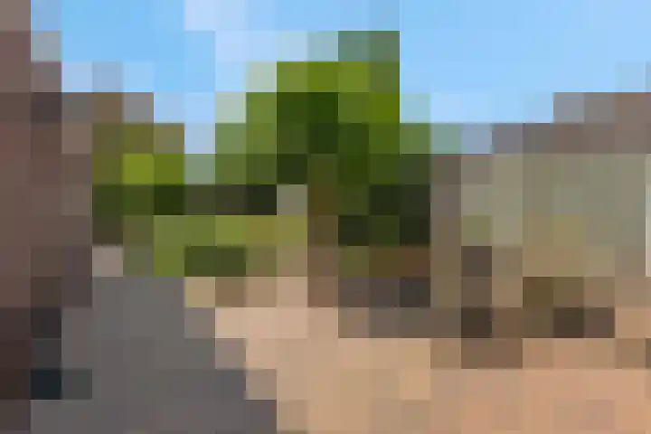 Paltrokstraat 12 Kootwijkerbroek thumbnail 4