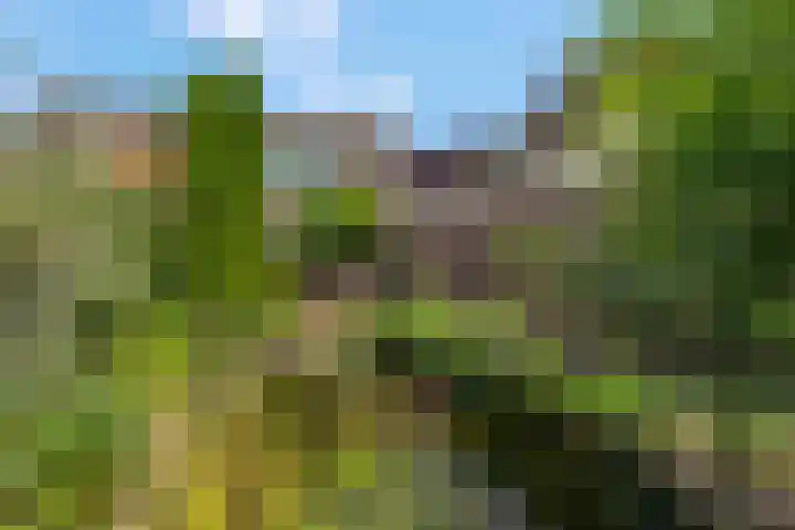 Paltrokstraat 12 Kootwijkerbroek thumbnail 46