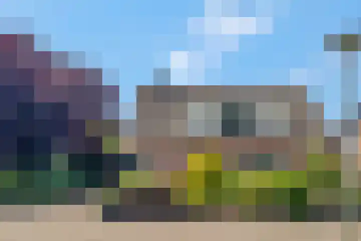 Paltrokstraat 12 Kootwijkerbroek thumbnail 5