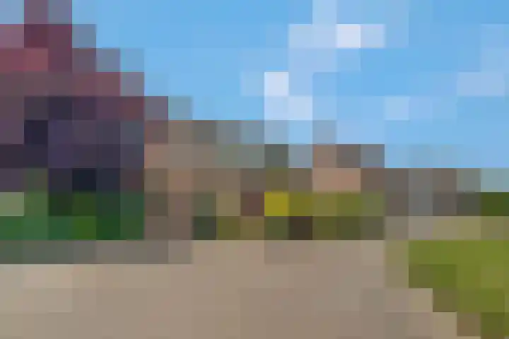 Paltrokstraat 12 Kootwijkerbroek thumbnail 7