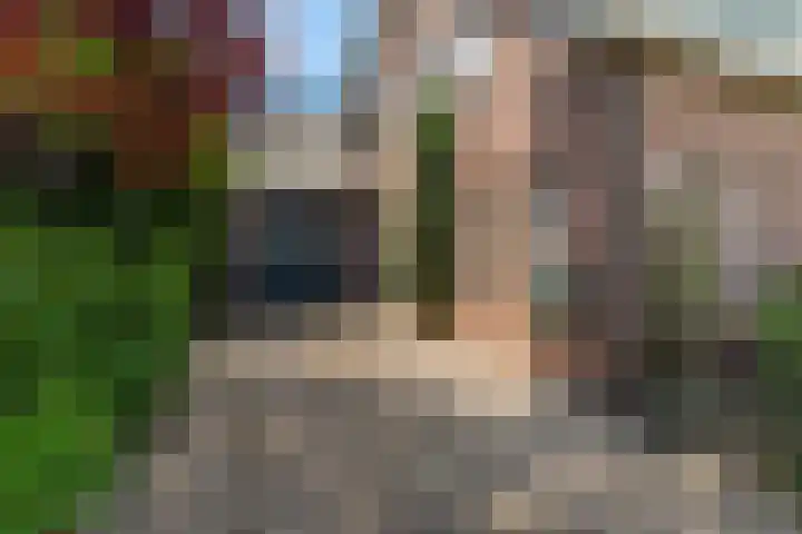 Paltrokstraat 12 Kootwijkerbroek thumbnail 8