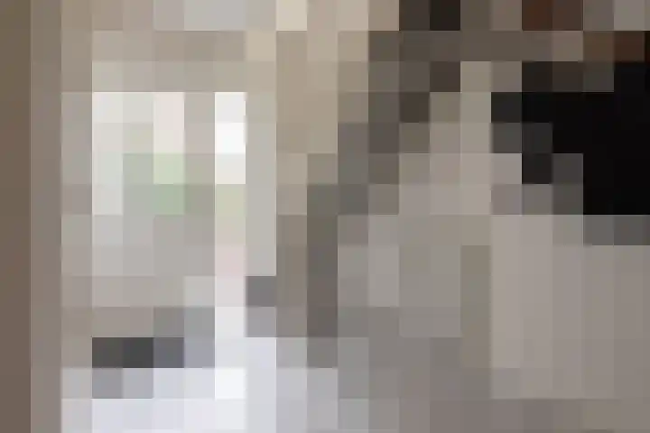 Paltrokstraat 17 Kootwijkerbroek thumbnail 18